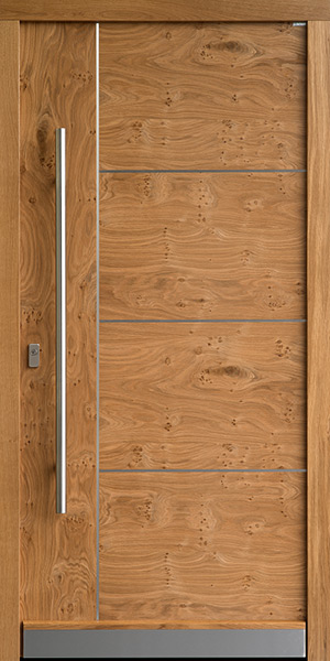 Holz-Haustür mit der Stilrichtung: Die Puristen